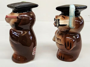 Vintage Lefton Owl Graduates 30145 Salt & Pepper Shakers