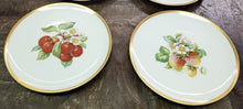 Load image into Gallery viewer, SET 8-Pc Hutschenreuther Gelb Fruit Plates
