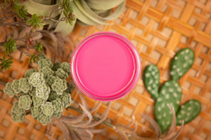 Silk All-in-One Mineral Paint - Prickly Pear