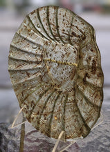 Load image into Gallery viewer, Vintage Textured Flared Art Glass Bowl
