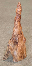 Load image into Gallery viewer, 24" Cypress Knee - B
