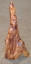 Load image into Gallery viewer, 24" Cypress Knee - B
