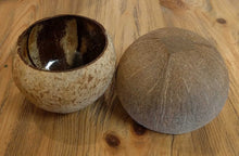 Load image into Gallery viewer, NEW Coconut Bowl
