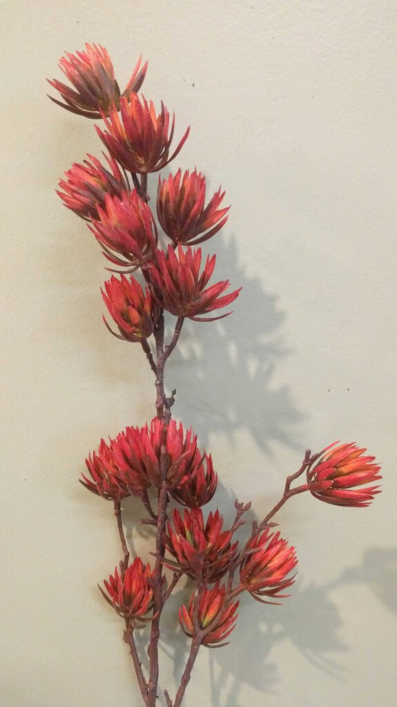 NEW Faux Floral Spray - Burnt Orange, Multi-Bud