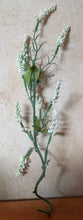 Load image into Gallery viewer, NEW Berry Spray - White

