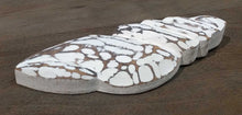 Load image into Gallery viewer, NEW 8.5" White Wood Spiral Shell Wall Decor 32219w-11
