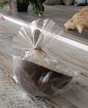 Load image into Gallery viewer, NEW Plumeria Coconut Candle - Sm - Wh/Ye
