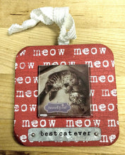 Load image into Gallery viewer, NEW 4" Wood &amp; Tin Frame Ornament - Best Cat Ever
