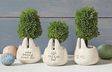 Load image into Gallery viewer, NEW Faux Boxwood Topiary in Mini Bunny Pot - Some Bunny Loves You 40930017S
