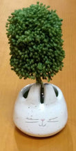Load image into Gallery viewer, NEW Faux Boxwood Topiary in Mini Bunny Pot - Bunny Face 40930017B
