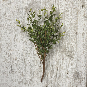 NEW Floral Pick - 13" Boxwood - 100737