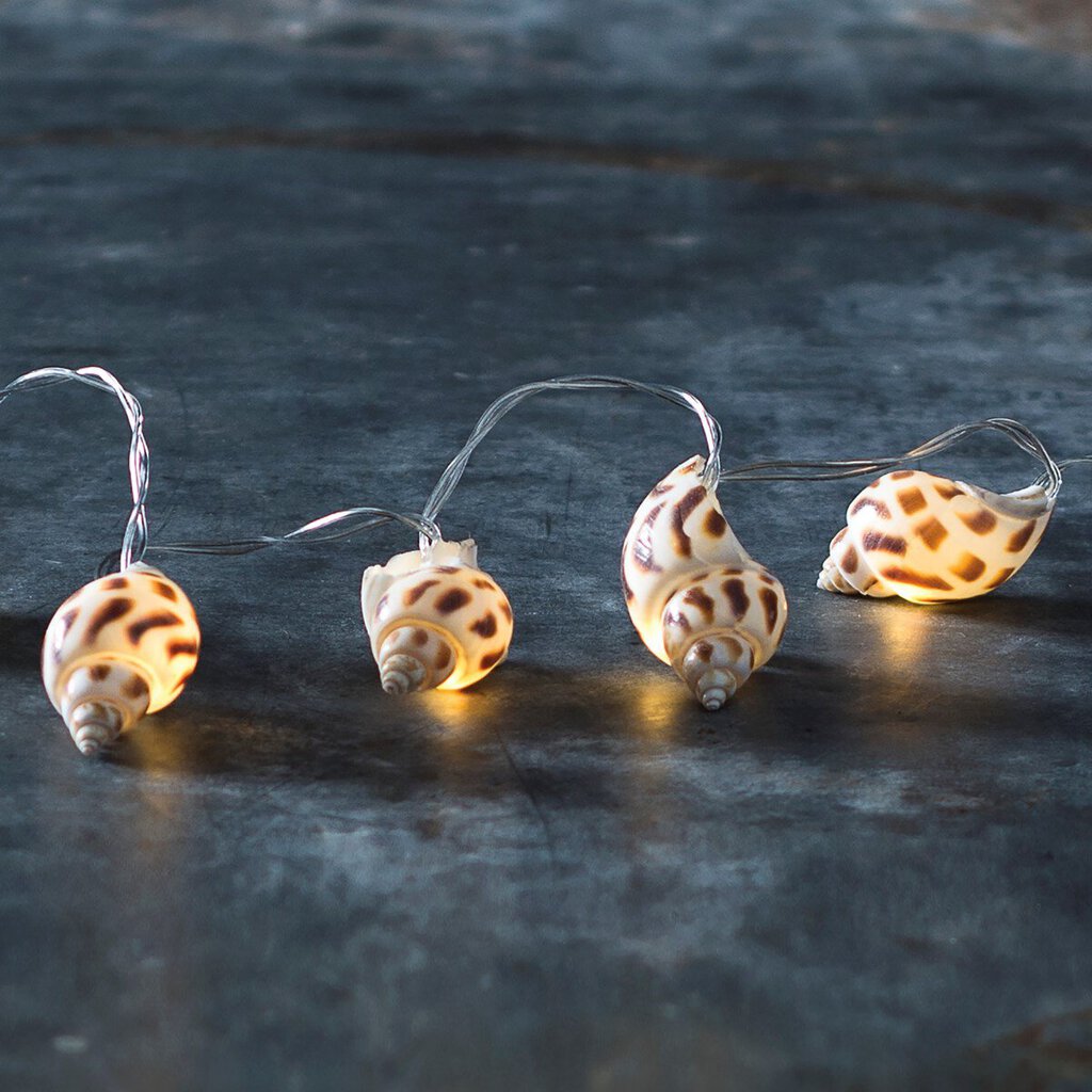 *NEW String Lights - Spotted Shell - 36364