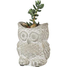 Load image into Gallery viewer, NEW Cement Owl Planter - Sm Lt Gray - 38936b
