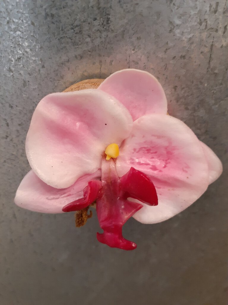 NEW Single Bloom Silk Orchid Magnet - Light Pink