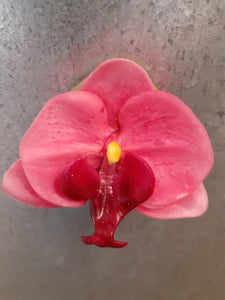 NEW Single Bloom Silk Orchid Magnet - Dark Pink