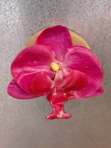 NEW Single Bloom Silk Orchid Magnet - Fuchsia