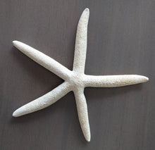 Load image into Gallery viewer, Finger Starfish
