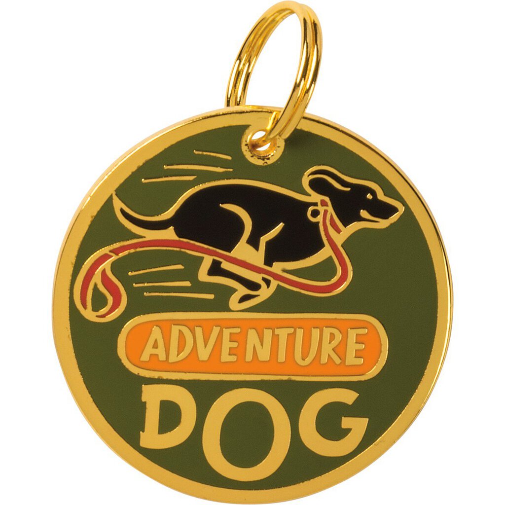 NEW Collar Charm - Adventure Dog - 100357