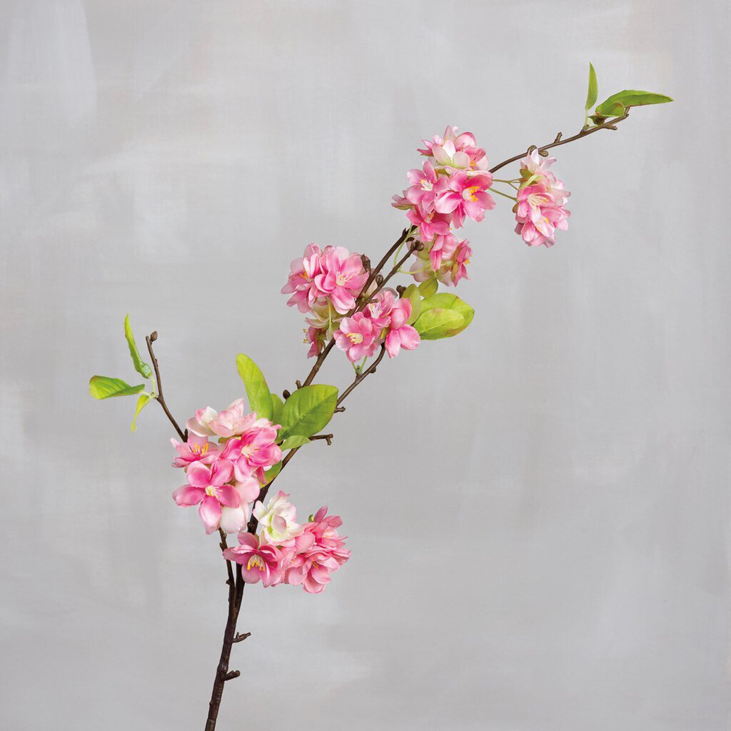NEW Pick - Pear Blossom - 105595