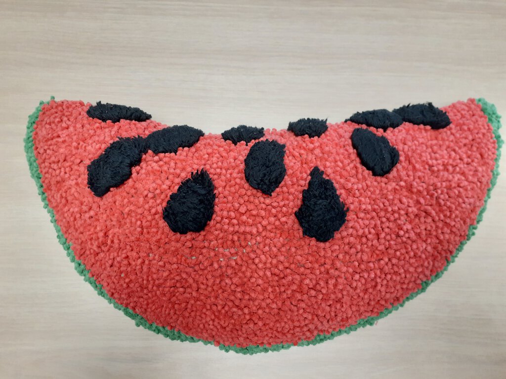 NEW Watermelon Slice Pillow