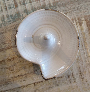 NEW Embossed Ring Dish 25315 - Nautilus Shell