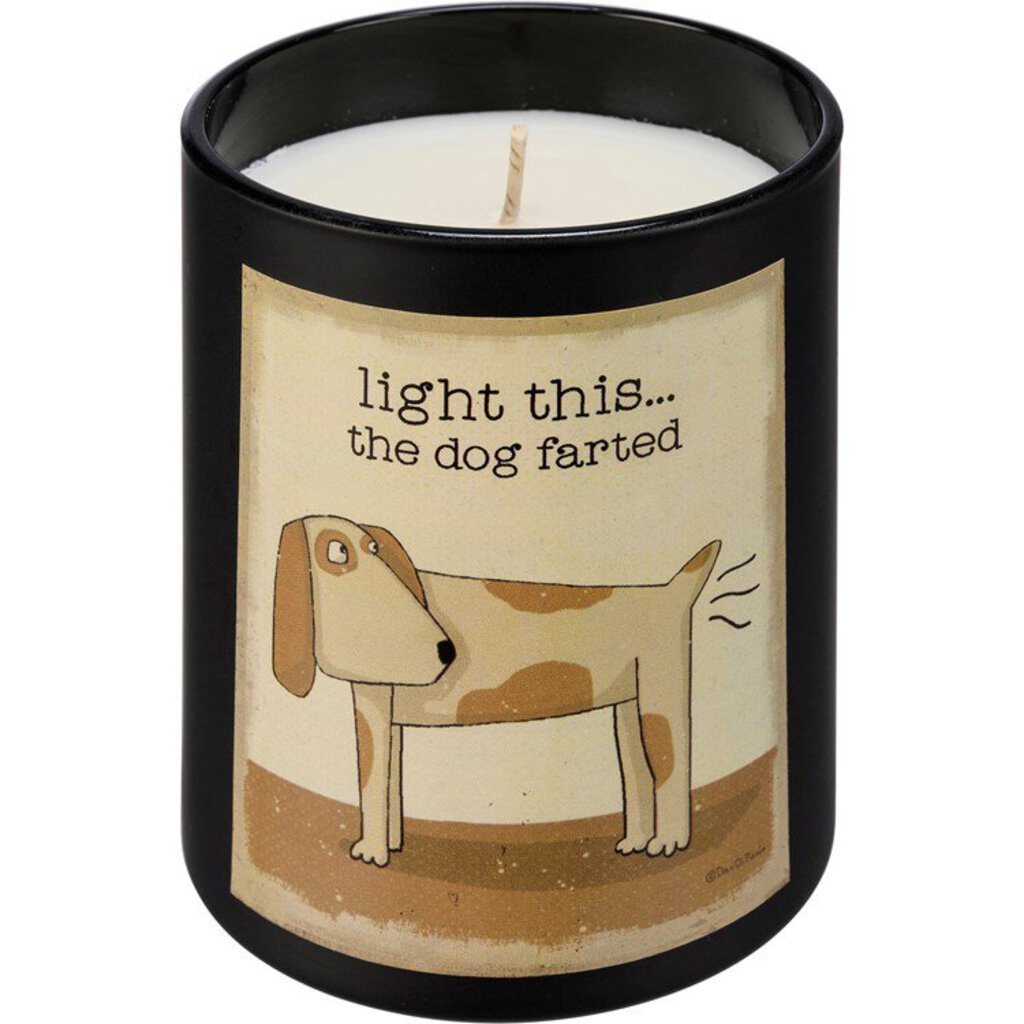 NEW Jar Candle - Light This...The Dog Farted - 110712