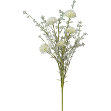 Load image into Gallery viewer, NEW Pick - Thistle Mix White - 102498
