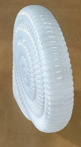 NEW 14" Glass Nautilus Shell Decor - White