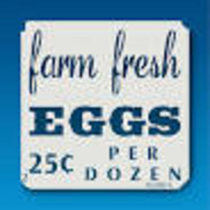 Medium Fresh Eggs Stencil 40-00013