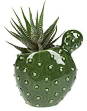 Load image into Gallery viewer, NEW Stoneware Cactus Vase ME178573
