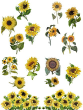 Load image into Gallery viewer, NEW Belles &amp; Whistles Transfer - Sunflowers

