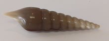 Load image into Gallery viewer, NEW Carved Horn Spiral Shell
