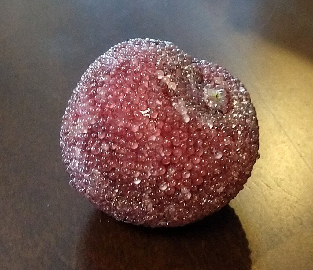 Beaded Faux Plum