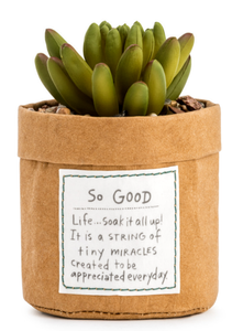 NEW Plant Kindness - So Good 1004500225