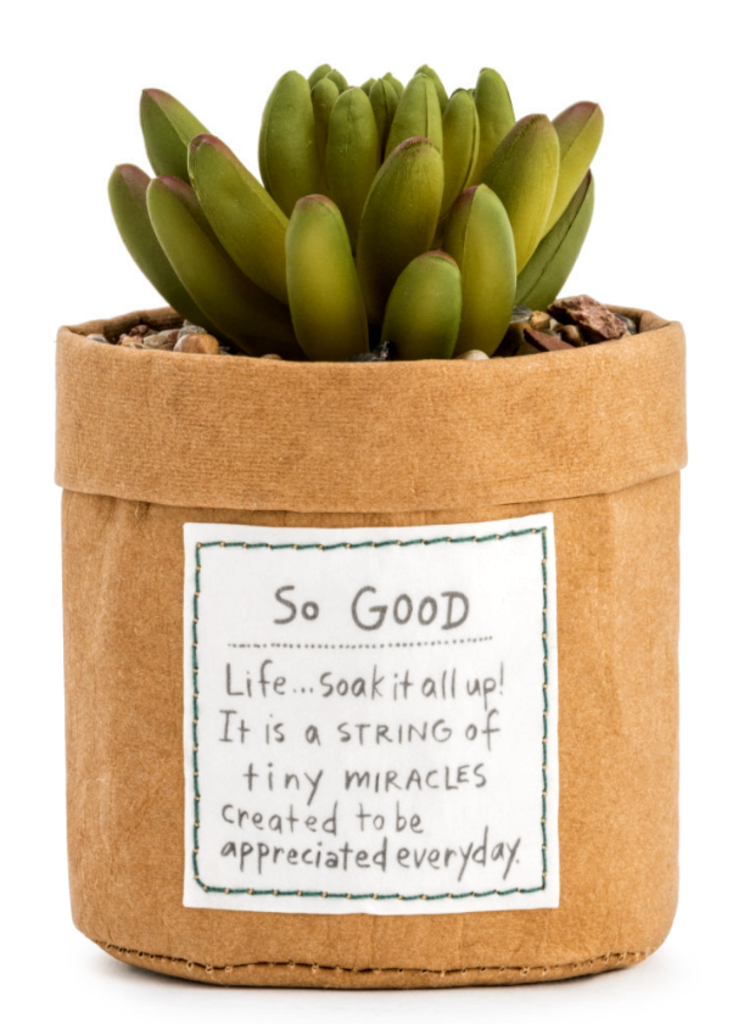 NEW Plant Kindness - So Good 1004500225