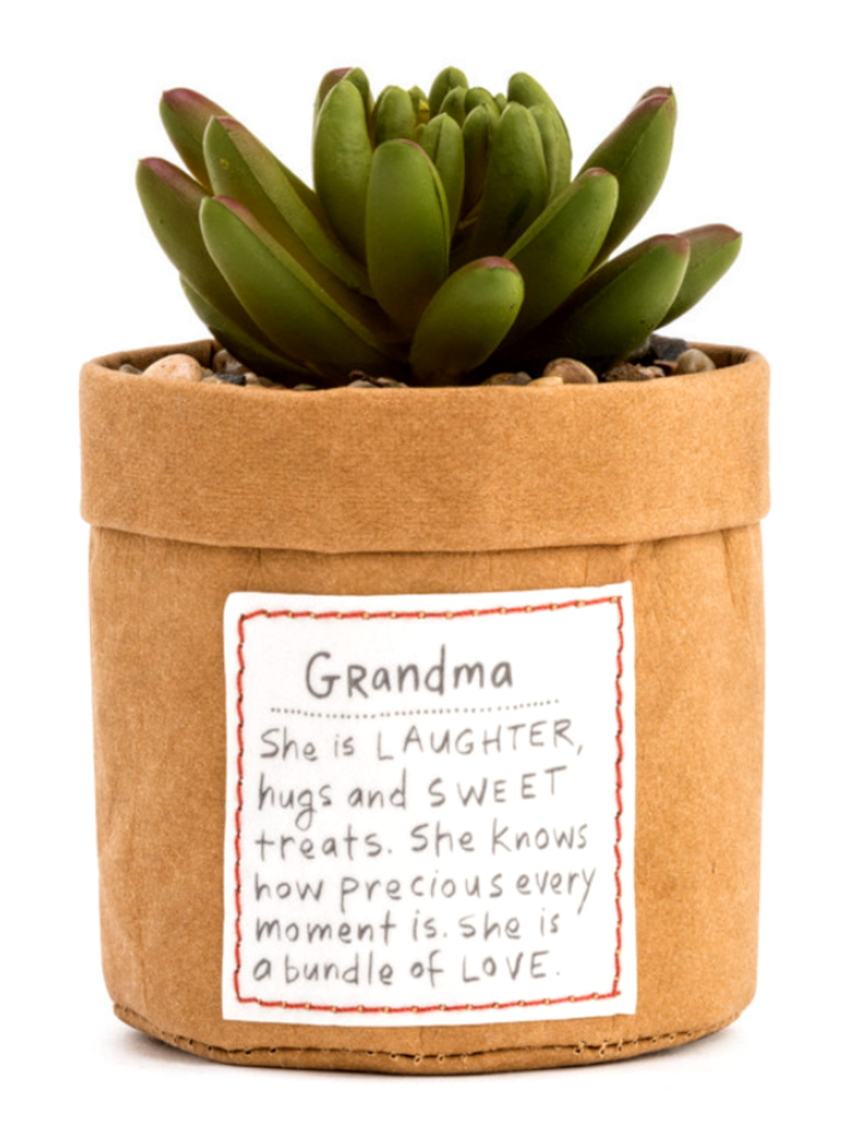 NEW Plant Kindness - Grandma 1004500233