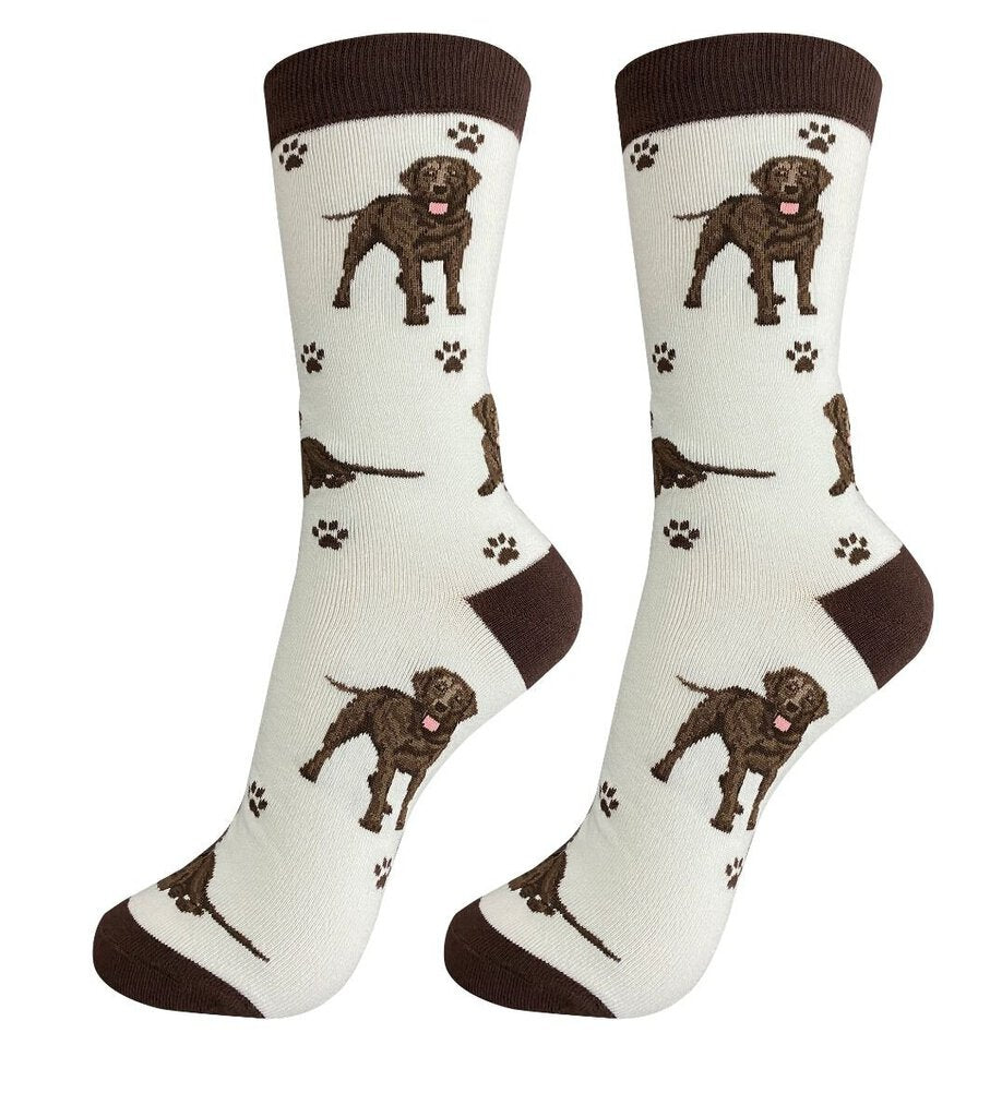 NEW Socks - Happy Tails Chocolate Lab - 800FB-22