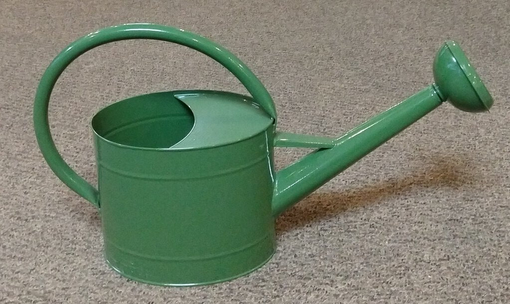 NEW Galvanized Watering Can - Green - 802834