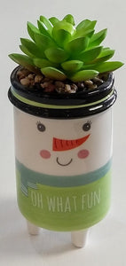 NEW Potted Succulent - Oh What Fun