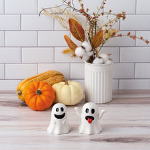 Load image into Gallery viewer, NEW Ghosts Salt And Pepper Set - 112744
