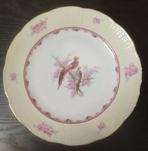 Load image into Gallery viewer, Vintage Eichwald Porcelain Plate
