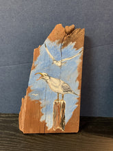 Load image into Gallery viewer, Hand Painted Birds on Driftwood
