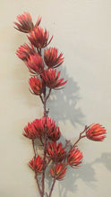 Load image into Gallery viewer, NEW Faux Floral Spray - Burnt Orange, Multi-Bud
