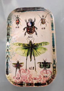 NEW 4.5" Insects Glass Paperweight