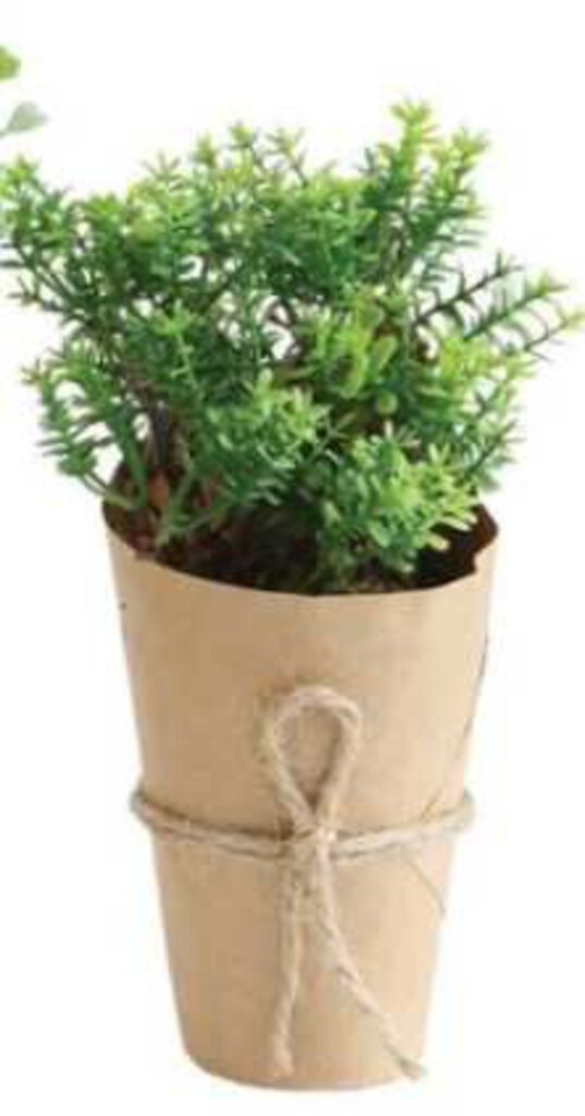 NEW Paper Wrapped Artificial Potted Plant - A
