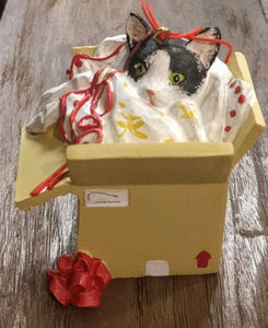 NEW 2.5" Cat in Present Box Ornament XM2217A