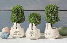 Load image into Gallery viewer, NEW Faux Boxwood Topiary in Mini Bunny Pot - Little Cotton Tail 40930017L
